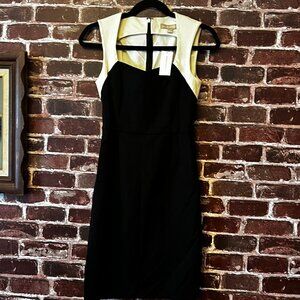 Banana Republic Colorblock Sheath Dress